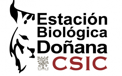 Investiga l’Estació Biològica Doñana