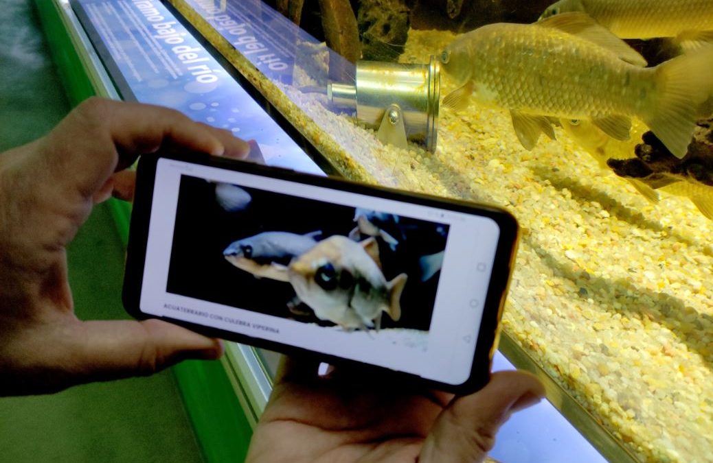 Descobreix la vida dins i fora l’aigua