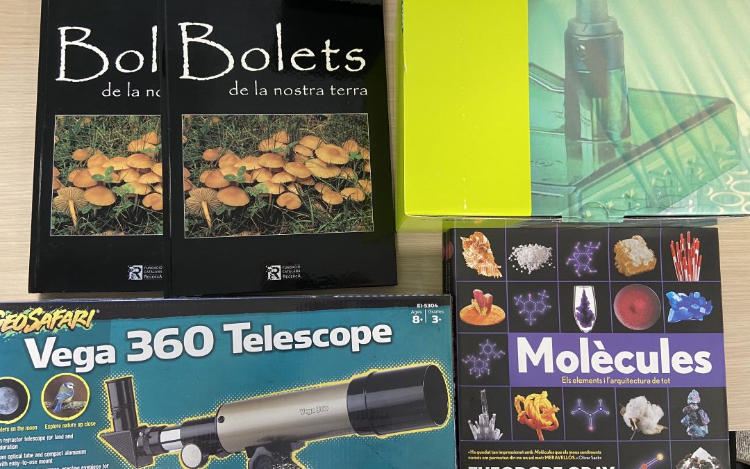 Enquesta sobre formació a docents de primària i secundària 