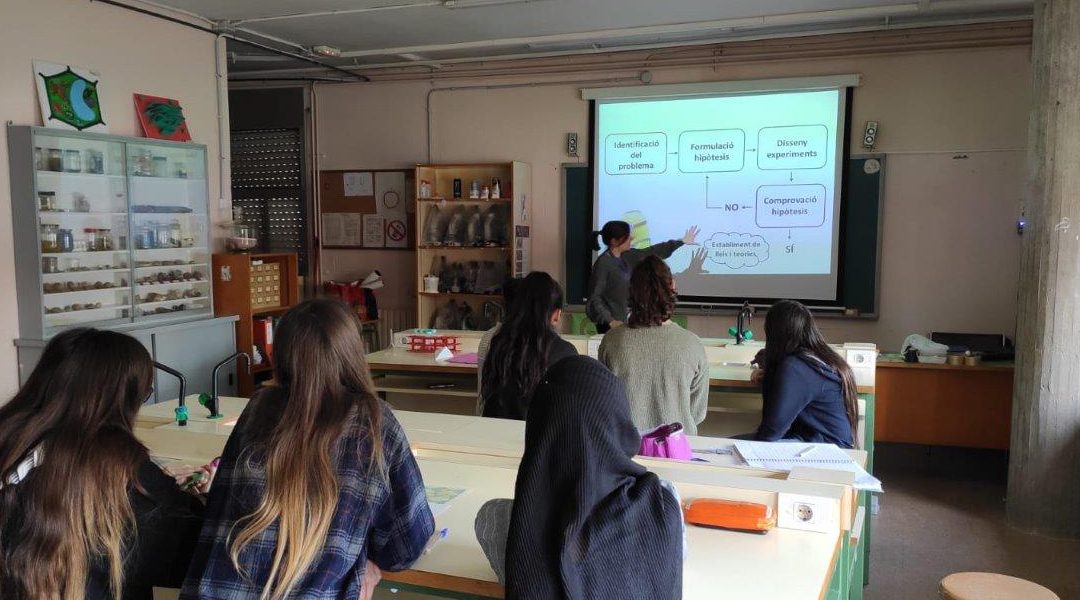 Formació per a docents de primària. Últimes places!