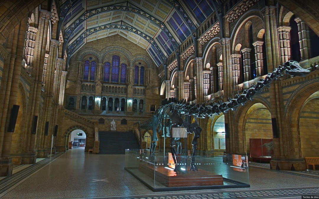 Explora virtualment el Museu d’Història Natural de Londres