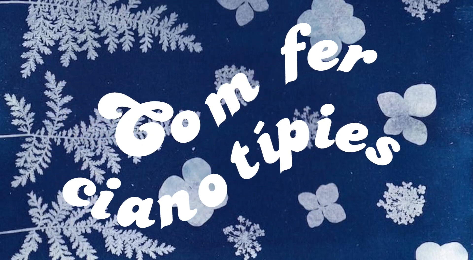 Fem cianotípies! (Institut Roseta Mauri, Reus) 0-1 screenshot