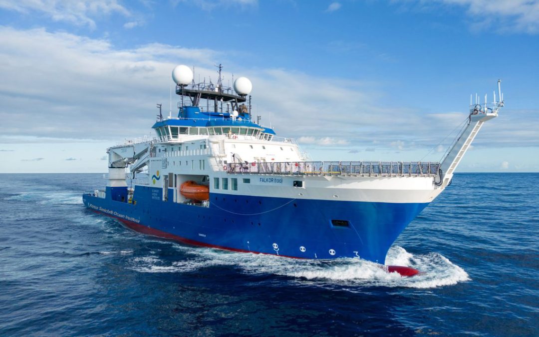 Explorem els coralls a les illes Galápagos!