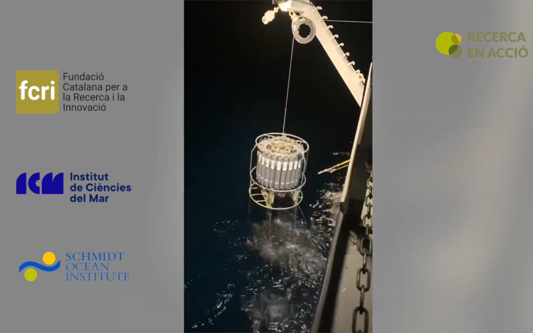 3- De dilluns a diumenge, qui no fa feina no menja