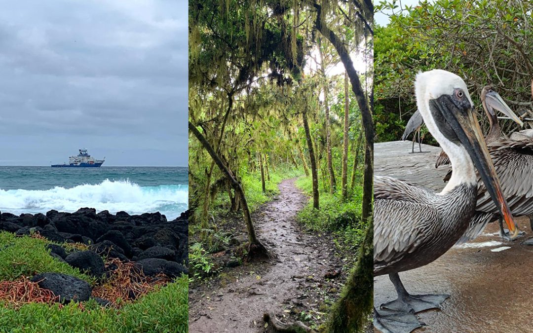 1- Comença l’aventura!