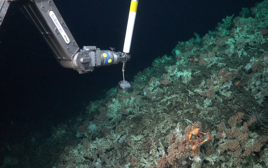 7- Diuen que és de valents baixar