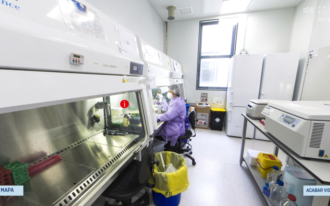 Visita virtual a l’IRB Barcelona