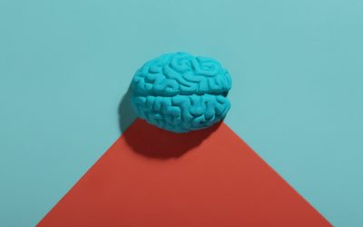 Descobreix continguts de divulgació científica a la Setmana Mundial del Cervell