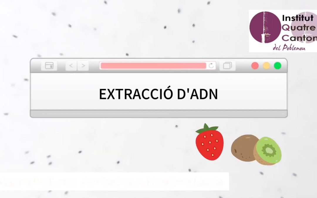 Extracció d’ADN
