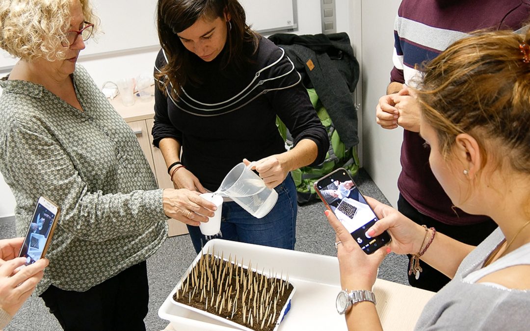 Coneix l’oferta educativa STEAM de l’FCRI per al curs 2024-2025!