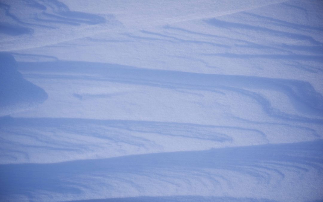 7- El so i el color de la neu