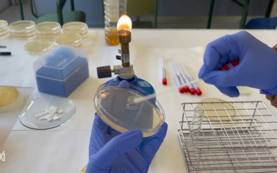 Eix microbiota i salut