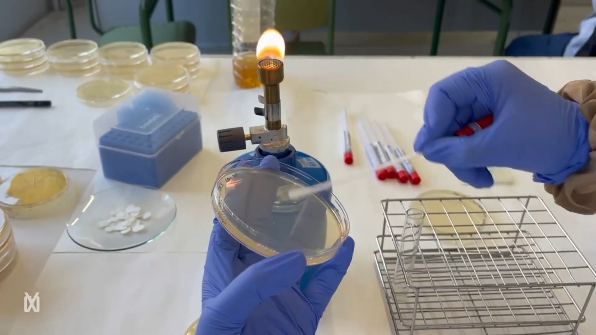 (60) Eix microbiota i salut (Institut de l’Ebre, Tortosa) 00-01-20