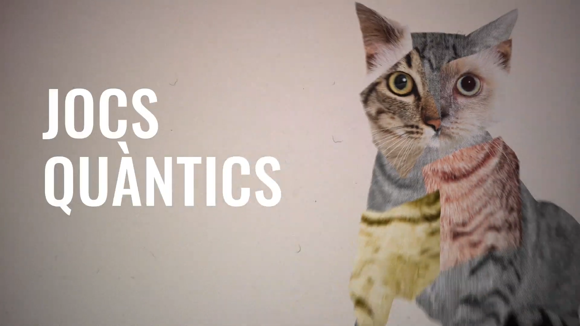 (63) Jocs quàntics Ninots de Schrödinger by Patossa (Biennal Ciutat i Ciència 2025) 00-00-02