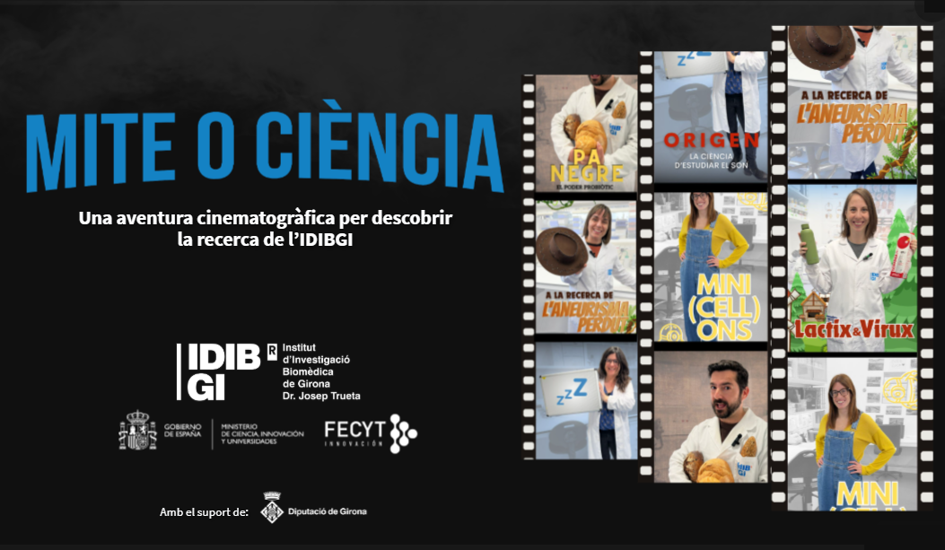 Captura de pantalla 2025-12-11 170714 copia