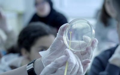 11F: Ciència en femení