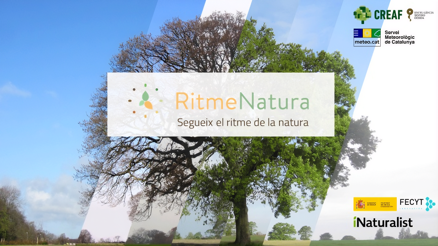 upscalemedia-transformed (1)