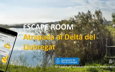 “Atrapada al Delta del Llobregat”: Un escape room didàctic