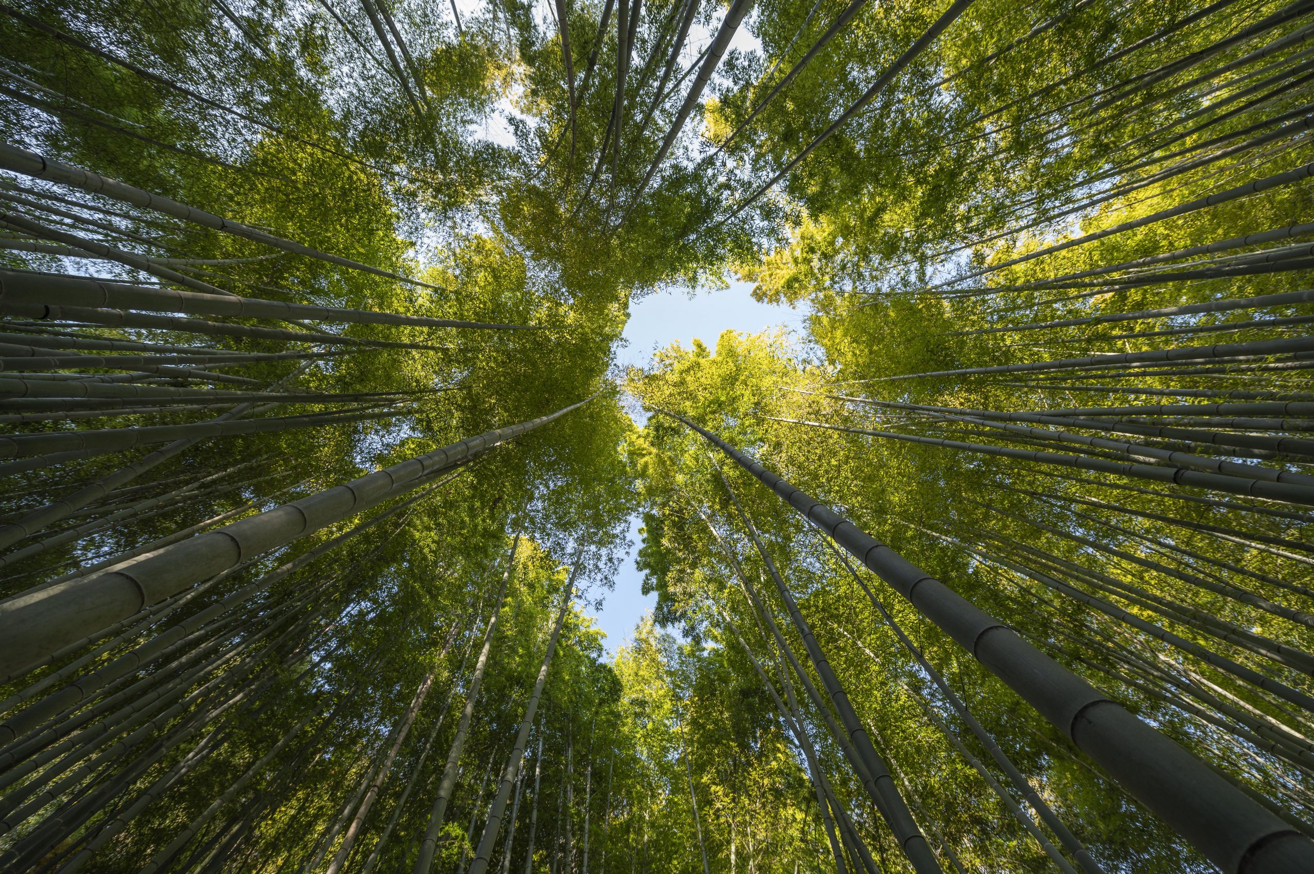 biodiversitat