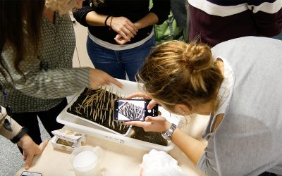 Petits Talents Científics obre les inscripcions per al curs 2026-2027!