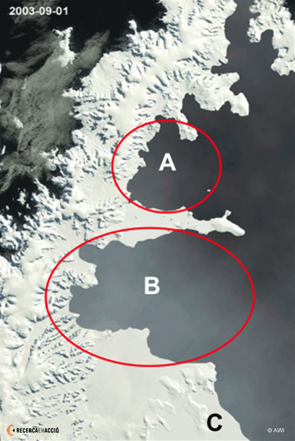 Península Antàrtica