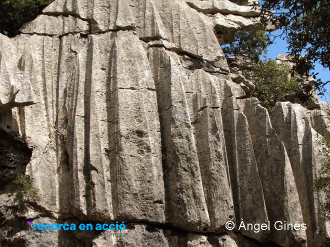 Roques esculpides per la dissolució de l'aigua