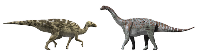 Pararhabdodon i Linosaurus