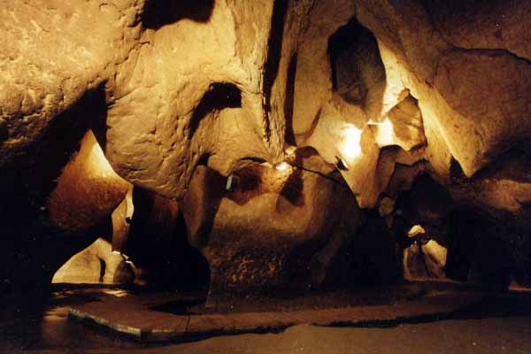 Les Coves del Toll a Moià