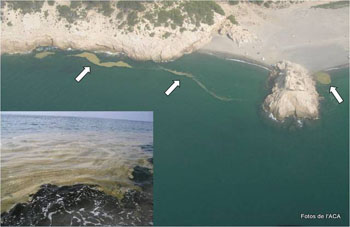 Fotografia aèria i costanera del mucílag (del ACA) a la platja del Torn.